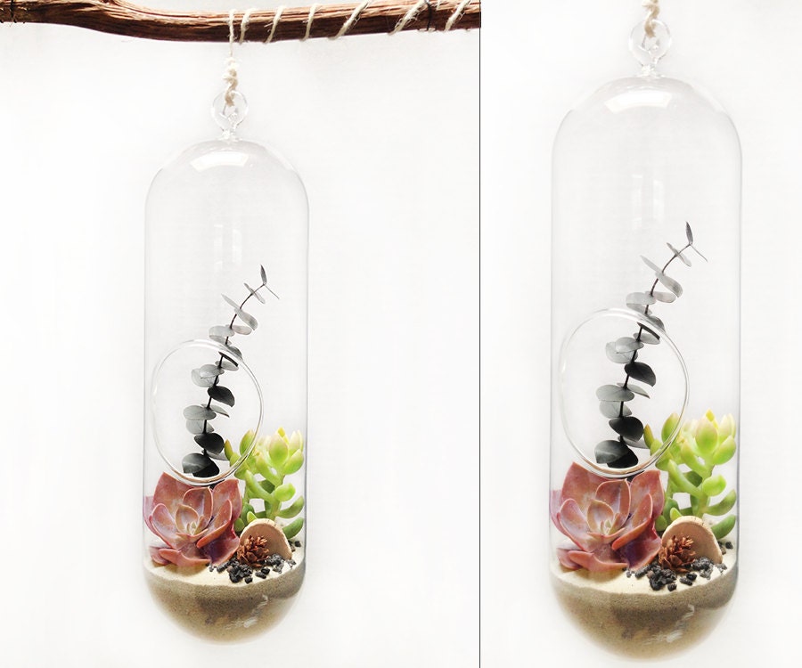 XL Neutral Ground Glass Hanging Globe Linking Terrarium Kit