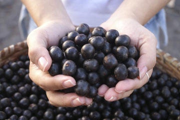 Acai Citrus Mist Body Spray