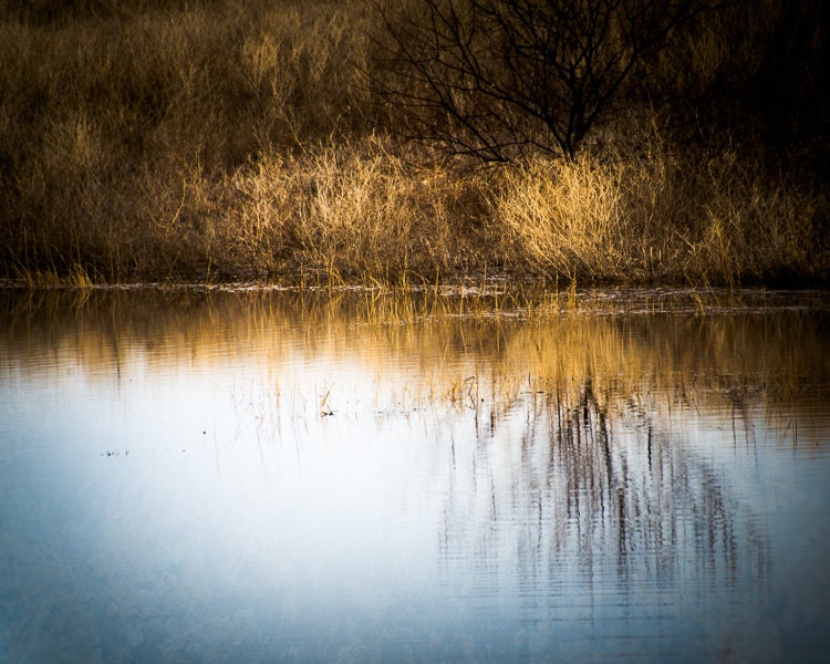 Landscape Photography Wall Decor - Textured Prairie Home Decor Fine Art Animal Photography