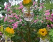 Rustic Mason Jars.. Hanging Decor, Perfect for Country, Rustic, Shabby Chic Weddings- Set of 3