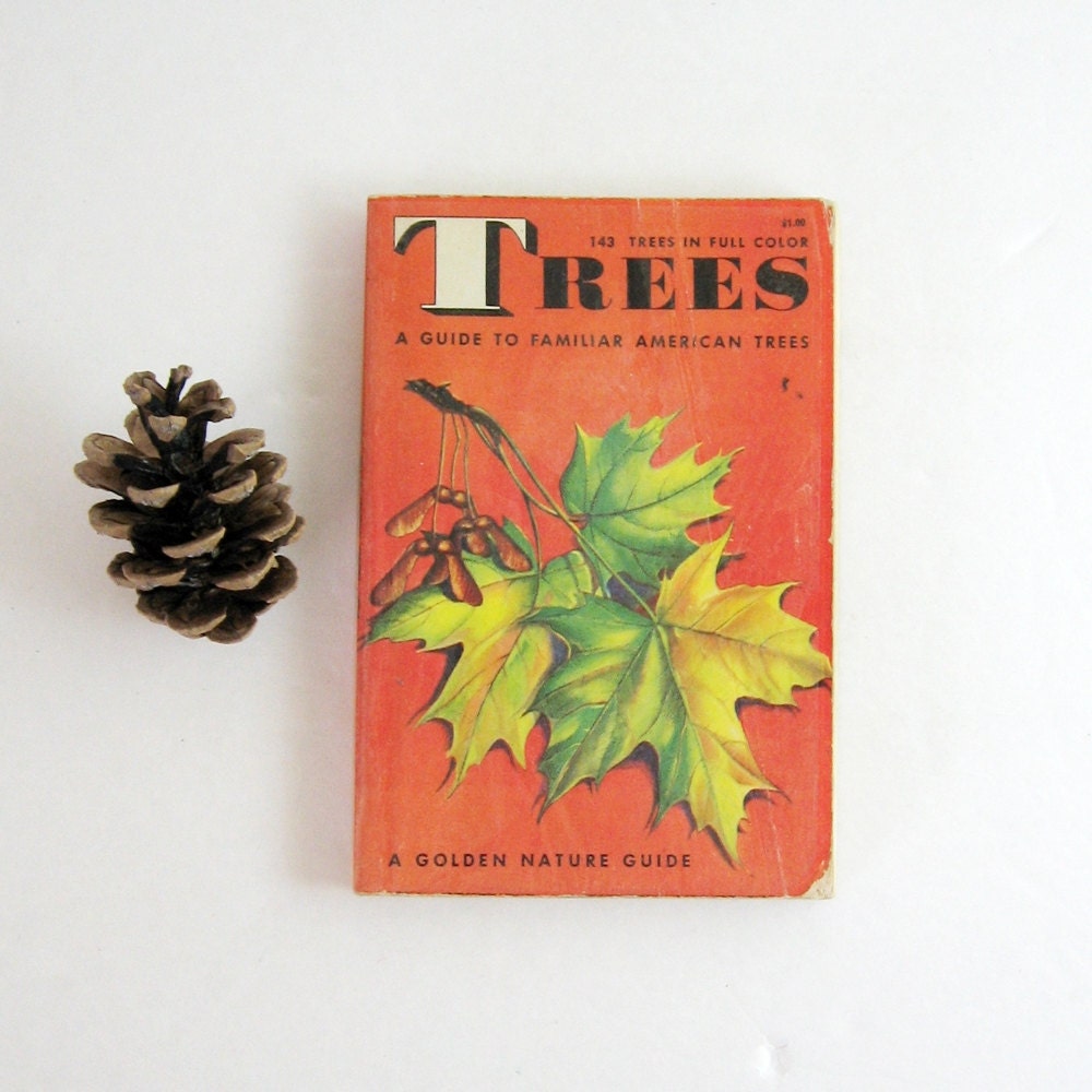 Trees Golden Nature Guide - Vintage 1960s Softcover Book - Color Illustrations
