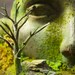 Ancient Goddess Ruins - Fantasy Forest - Terrarium / Diorama