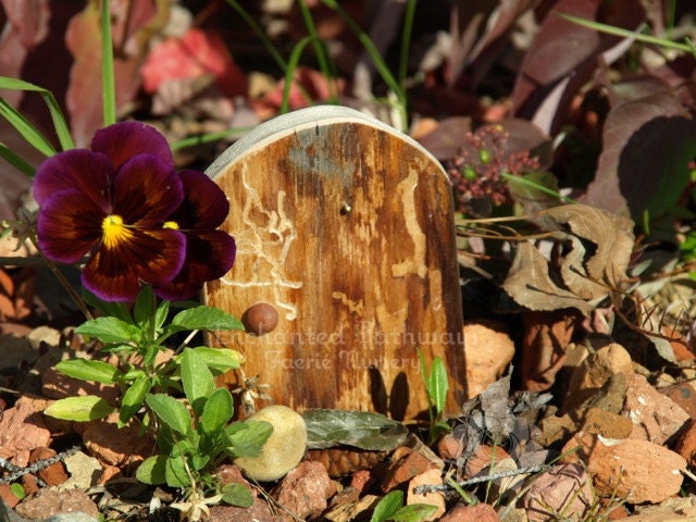 The Mini Magical Wooden Door, OOAK, Faerie, Fairy, Garden