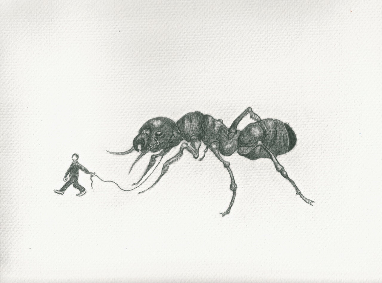 Unconventional Pet. Ant
