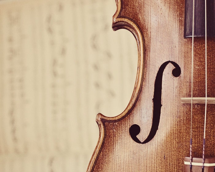 Violin String Instrument Brown Cream Photography Music Gift Print