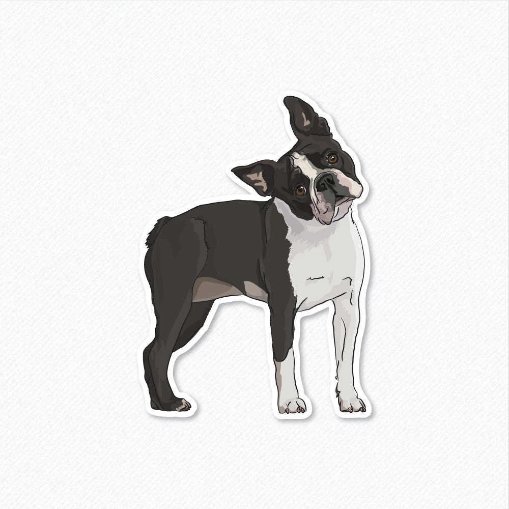 Boston Terrier Decal Sticker