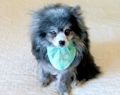 Cravat-Style Tie Made to Order for Small Dogs - Light Teal Companion Piece for Little Dog's Party Dress