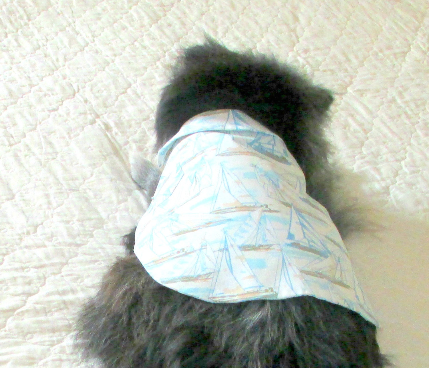 Shirt for Cats and Pint-Sized Canines - White, Sky Blue & Taupe Cotton w/Boat Print