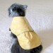 Dog's Clothing Made to Order Dress for Shih Tzu Etc. - Golden Tan Dress with Chicky and Dark Green Ribbon Trim