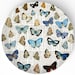 Butterflies II -  with dictionary page background - on 10 inch Melamine Plate