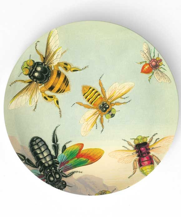 Bees - antique artwork of insects on 10 x 14 Melamine Platter