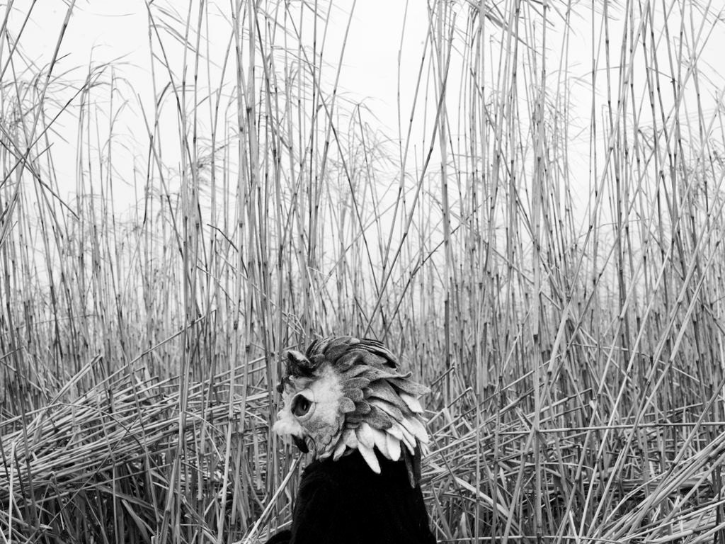 Hand felted Owl animal mask / head dress, suitable for performance, dance or theatre