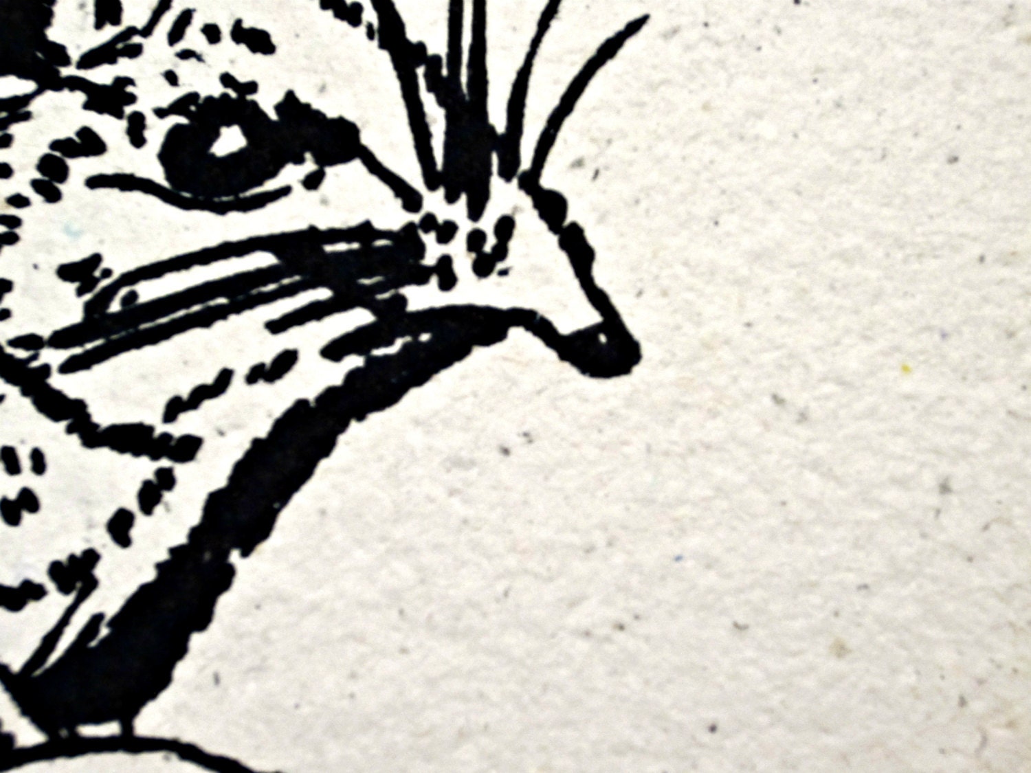 Elephant Shrew Animal Print on Handmade Paper - Art for Animal Lovers