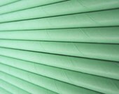 25 Mint Green Solid Color Paper Straws