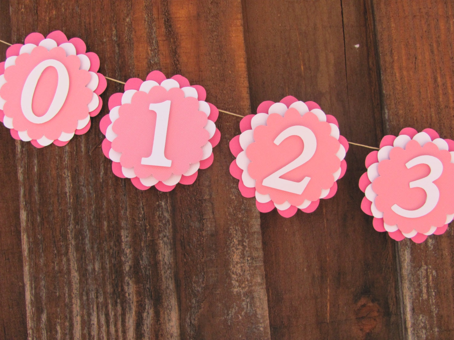 Custom made first year banner, 12 month banner, photo banner, first 12 month banner, first birthday, birthday decorations