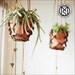 Leather plant holder - hanging planter - handmade