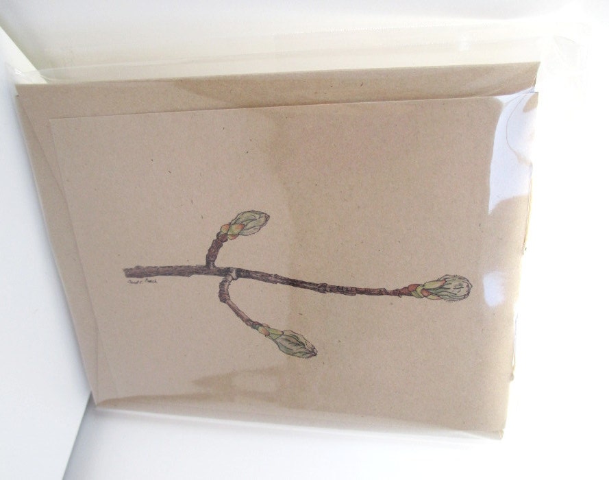 Red Maple Tree Buds Jotter Journals - (set of 3 mini journals)