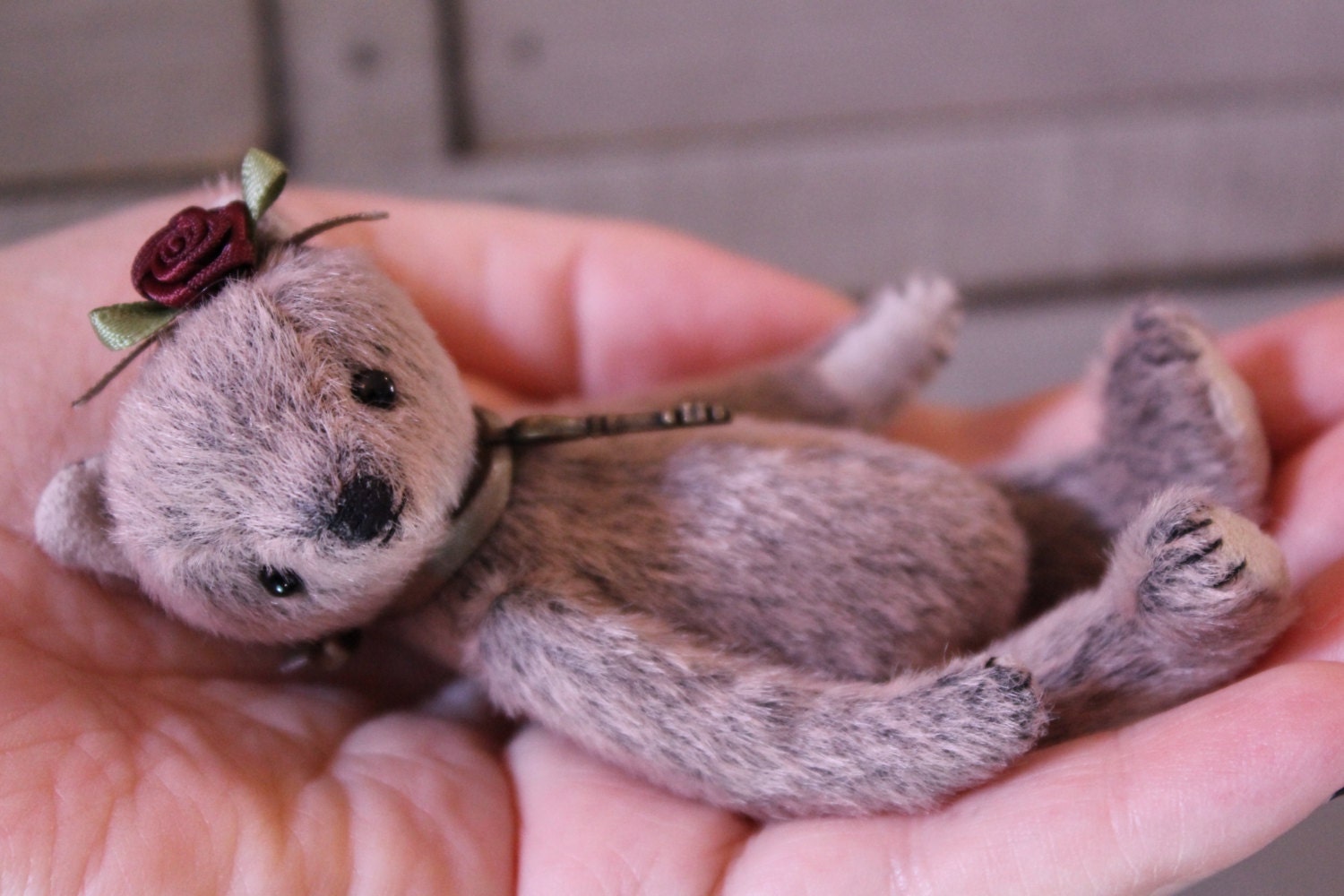 Etta the little miniature bear