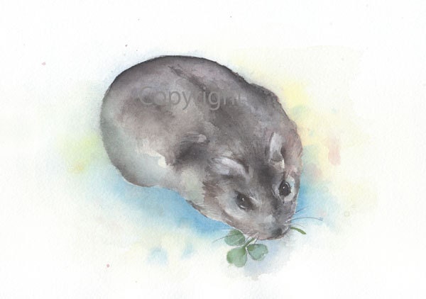 Animal, mouse, pet, art, print, watercolor, Watercolor print,  watercolor giclee, Original watercolor painting, animal print, hamster