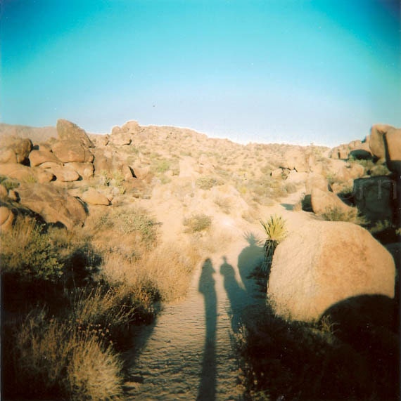 Desert Shadows - Joshua Tree National Park - California - Holga - 5x5 square matte print