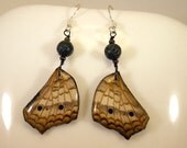 Butterfly Earring, Fire and Air Butterfly Wing Earrings.  White Peacock