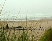Oregon Coast Moody Beach Driftwood Foggy Scene Fine Art Photography