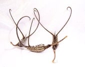 Devils Claws Seed Pods: Art & Craft Supplies, set of 3 Large Devil's Claws - DC0009