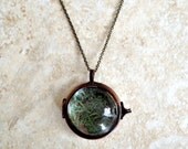 Reindeer Moss Locket by Heron and Lamb