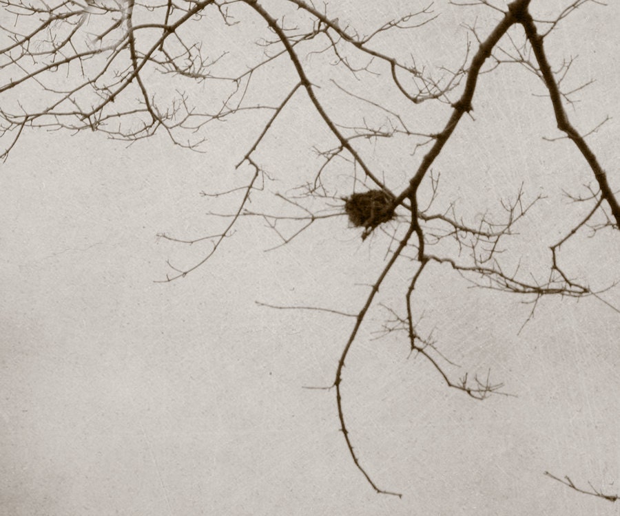 Fine Art nature print