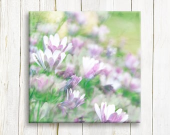 Purple and white flowers, canvas art print, ready to hang, 12"x12", FREE SHIPPING