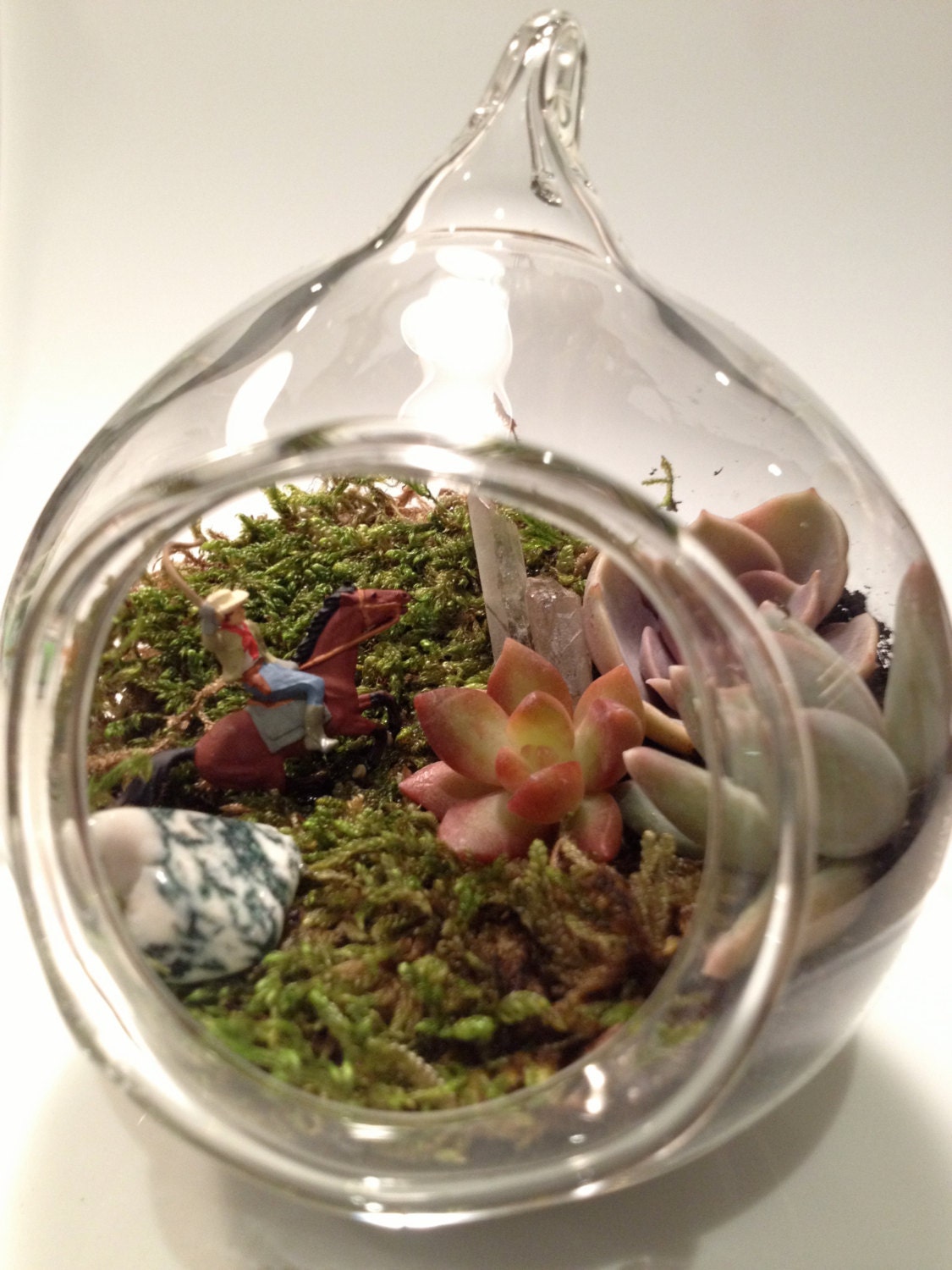 Hand Blown Glass Succulent Terrarium Riding the Range