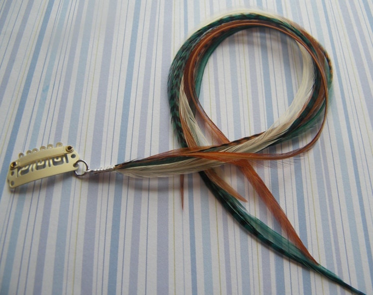 Hair Feather Extensions Clip In Peacock Green, Golden Copper, Brown and White