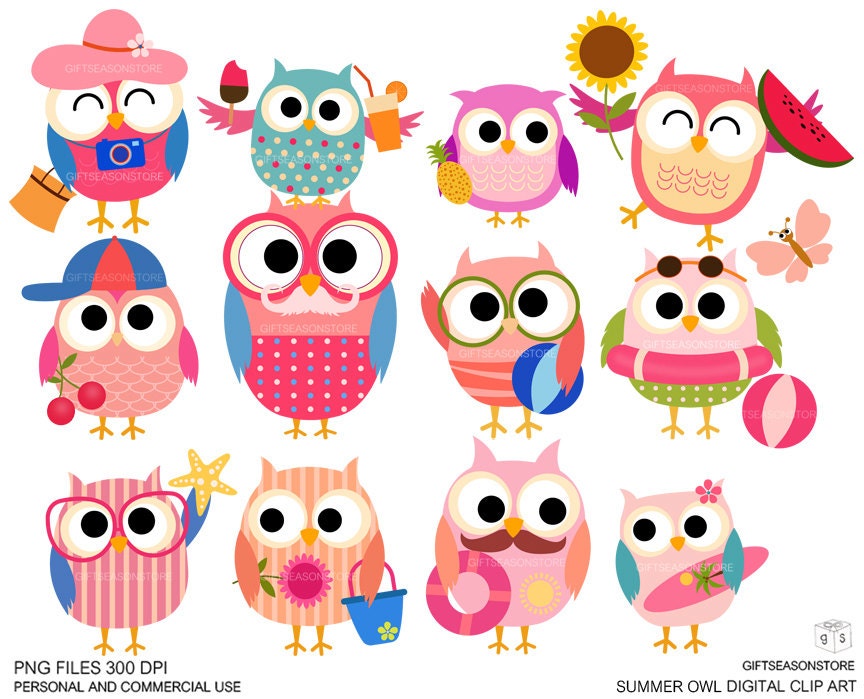 Summer owls Digital clip art for Personal and Commercial use - INSTANT DOWNLOAD