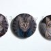 Supernatural Cats, pinback buttons