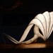 Custom Lamp: Elegant and Rustic Lightsculpture (lamp) with Driftwood base