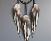 Dream Catcher Black Deerskin Leather with Black Laced Rooster Saddle Feathers