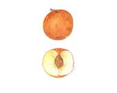 Watercolor Paintings, Art Print Paper size: 8"x10" (20,32x25,4cm)