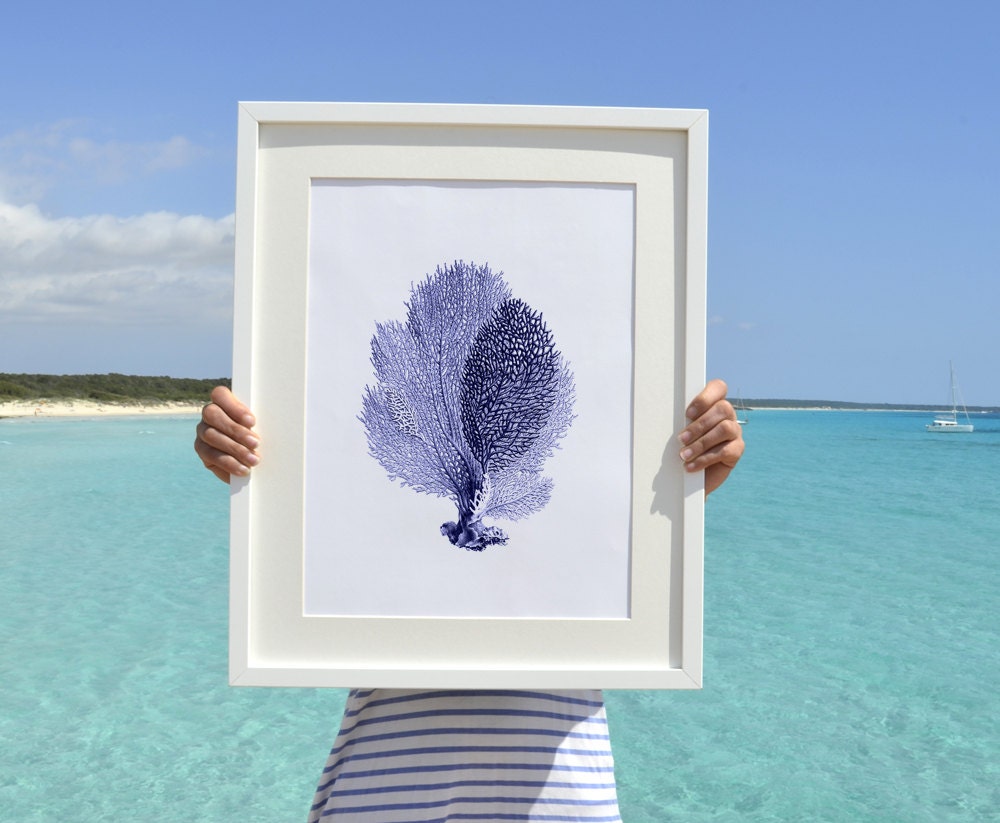 Wall decor Poster A3 Plus size  Blue Fan coral Antique sealife Illustration -A3 Marine Poster - sea life poster