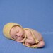 Newborn Photography Fabric Backdrop - Vincent Knit Backdrop - 2 Yards