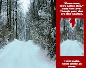 COMBO White As Snow Laminated Bookmark & 4x6 Original Photo