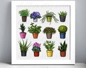 House plant flower pot collection - Printable Digital Illustration for Transfer Prints - Clipart ( 8x10), for DOWNLOAD. Item No.T0026