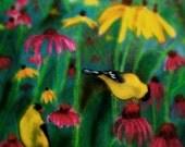 Pastel goldfinches in flower garden