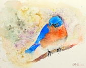 Limited Edition Giclee print of an Eastern Bluebird by Ellen Brenneman