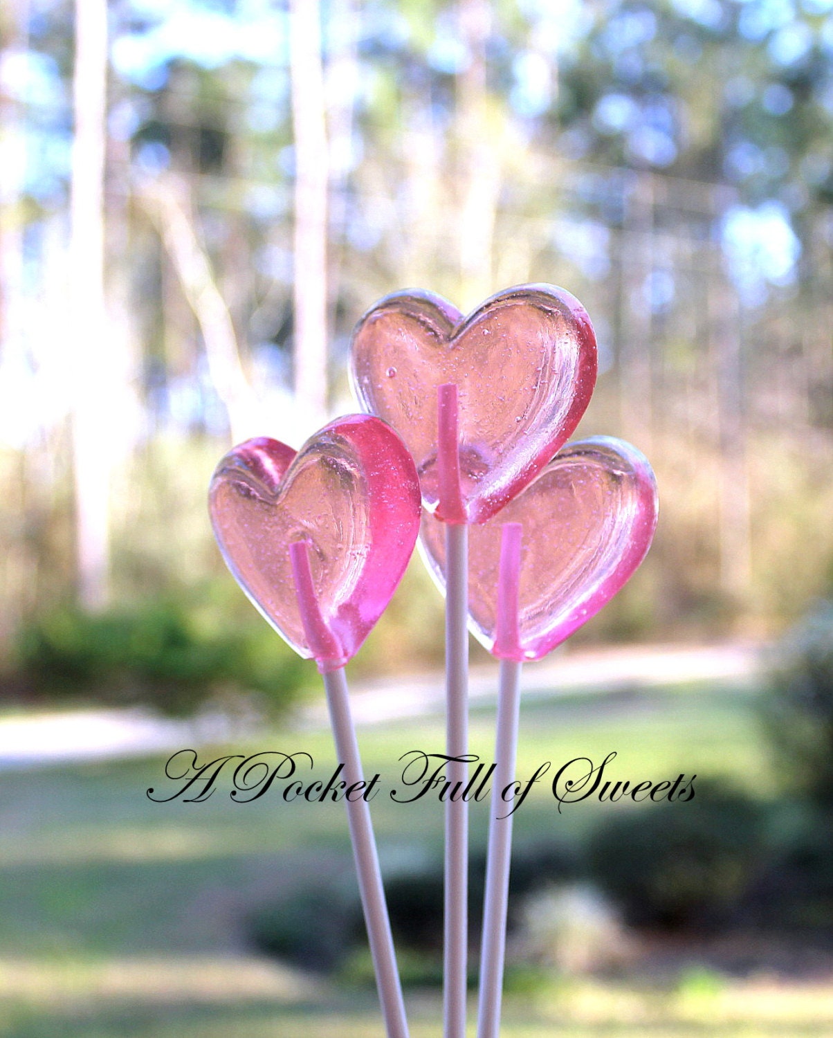 HEART Lollipops Barley Sugar Hard Candy Lollipops Suckers Wedding Favors Bridal Shower Gifts