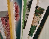 Smash Book - Vintage Flower Garden & Seed Catalogue Pages - 5 x 7 - (50) Pages