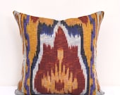 Set of 2 Cotton Ikat pillow covers