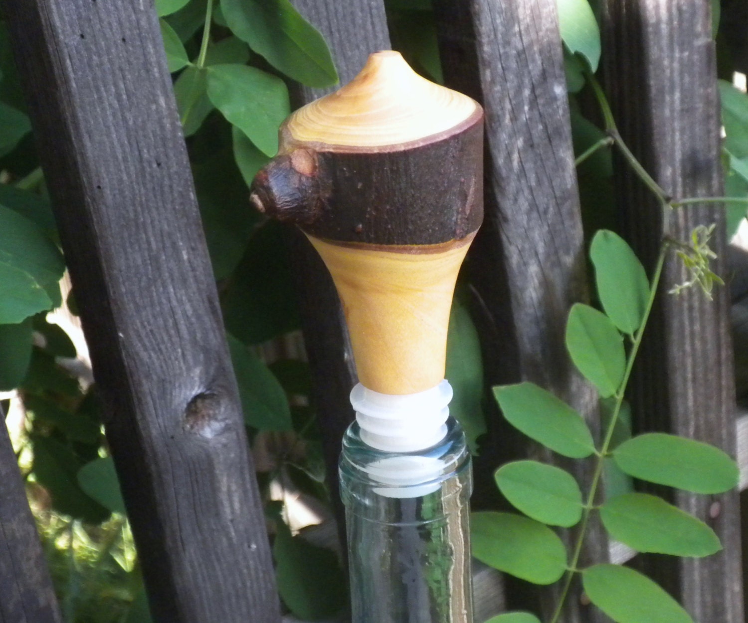 Bottle Stopper, Natural Edge, Chinese Elm
