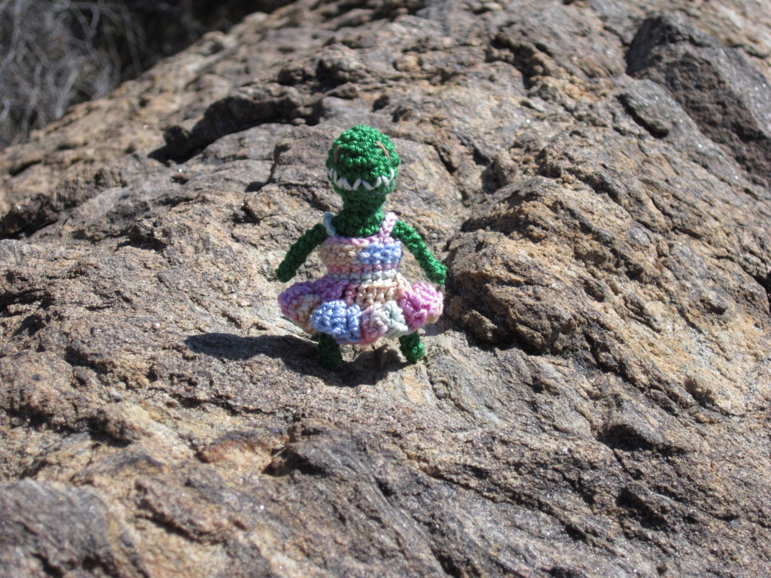 Tiny Lizard with Rainbow Dress