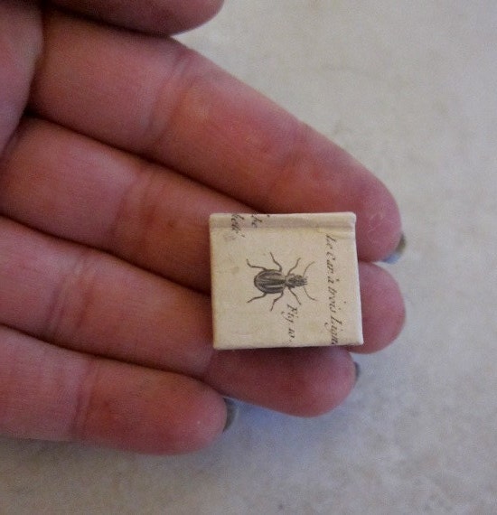 Mini Book Journal  with Bug cover
