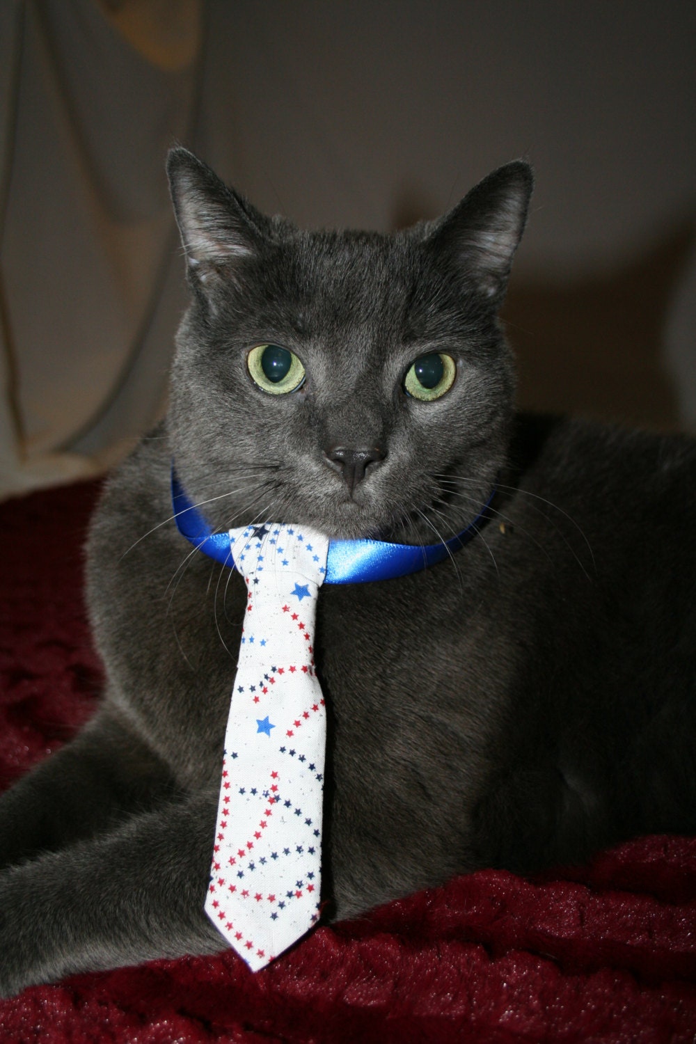 USA Stars White Neck Tie